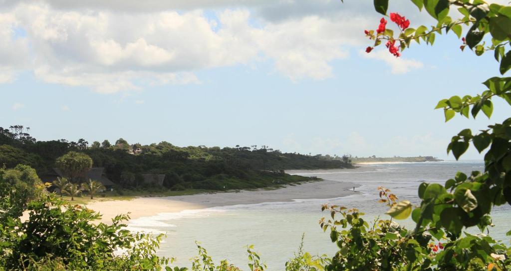 Amani Beach Resort Kutani Exteriör bild